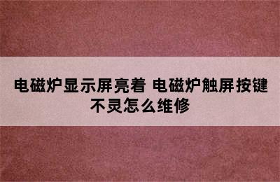 电磁炉显示屏亮着 电磁炉触屏按键不灵怎么维修